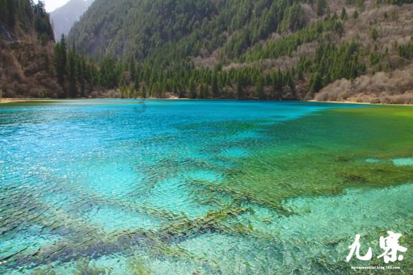苹果微波炉里可以加热吗?有问必答平台-快速解答各类问题