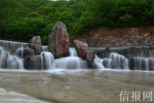 救援瓢虫宝宝