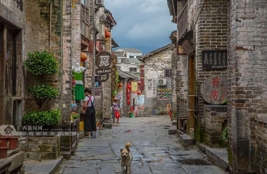 小熊救援